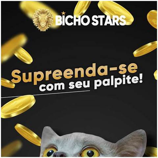 que deu no bicho ontem